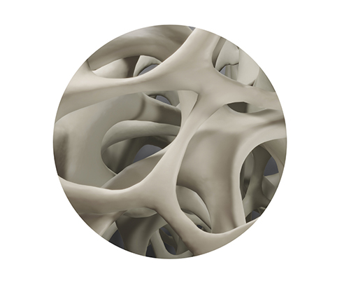 Bone Density