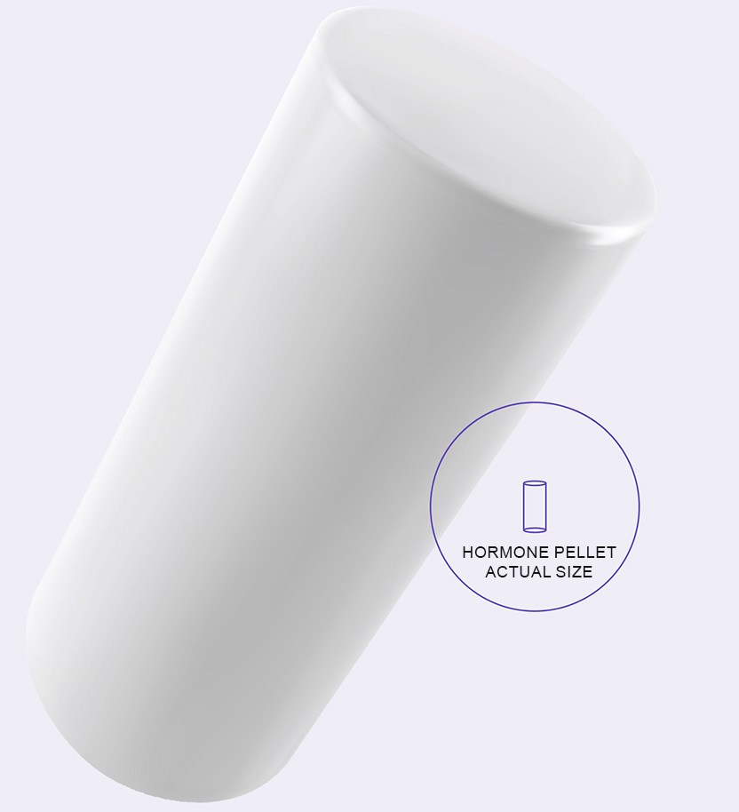 Hormone Pellet Actual Size
