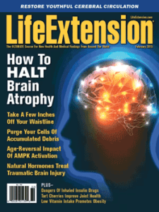 Hormone Therapy and The Brain