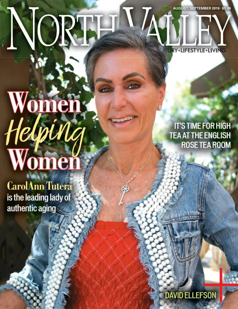 North Valley cover